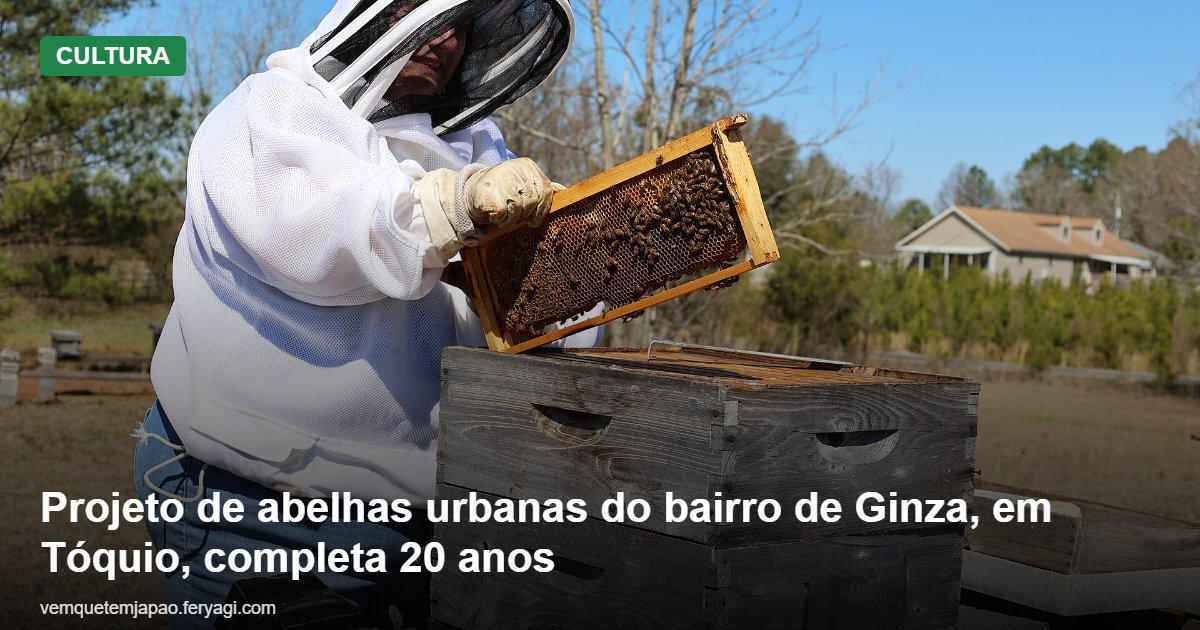 Projeto de abelhas urbanas do bairro de Ginza, em Tóquio, completa 20 anos