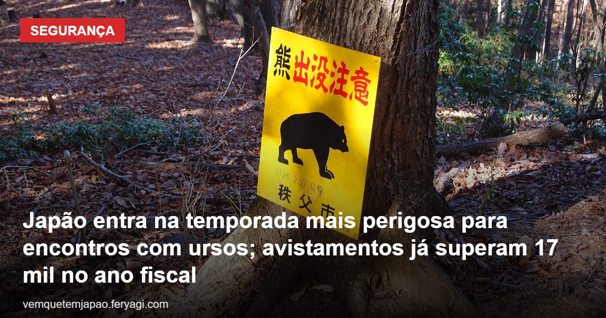 Japão entra na temporada mais perigosa para encontros com ursos; avistamentos já superam 17 mil no ano fiscal